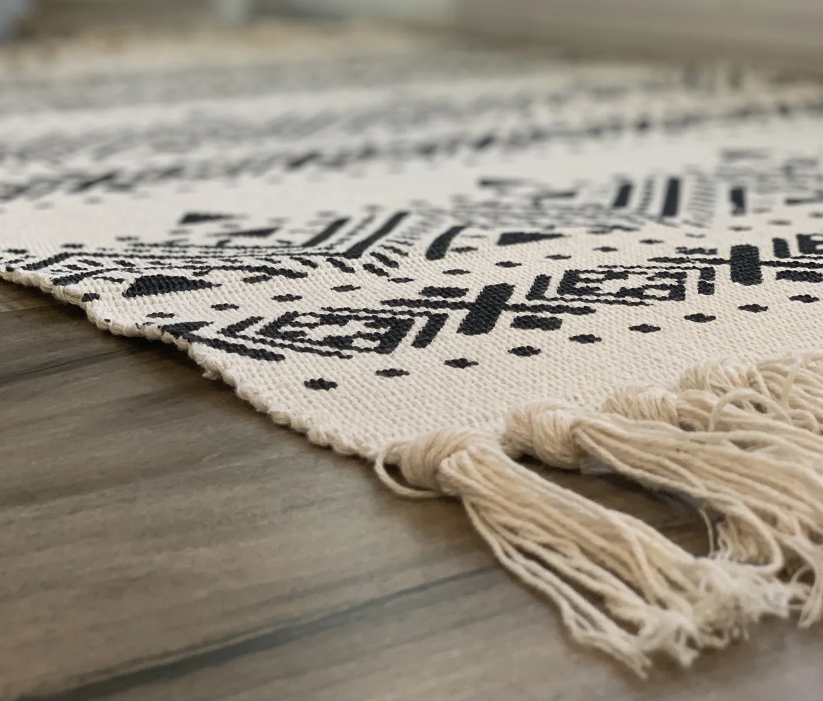 Boho Style Entryway Rug with Fringe - Image 6